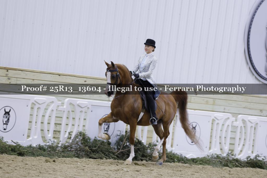 Proof 25R13_13604