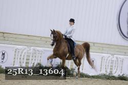 25R13_13604 proof