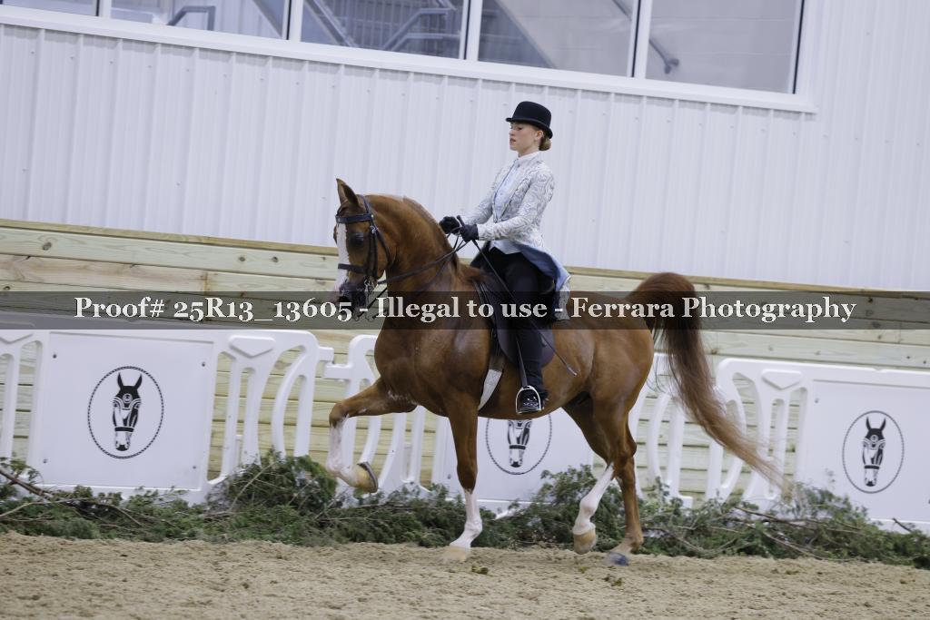 Proof 25R13_13605