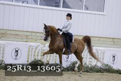 25R13_13605 proof
