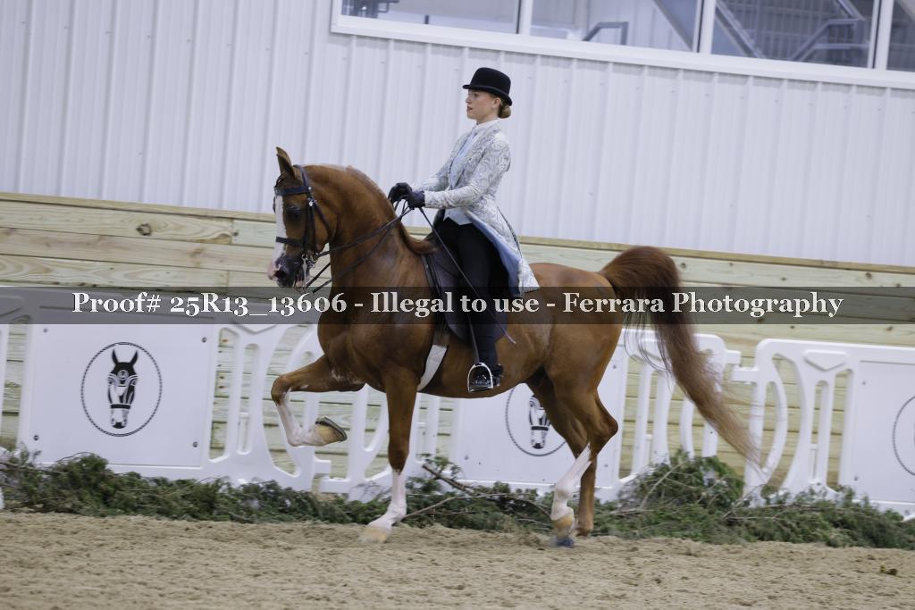 Proof 25R13_13606