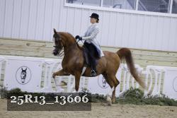25R13_13606 proof