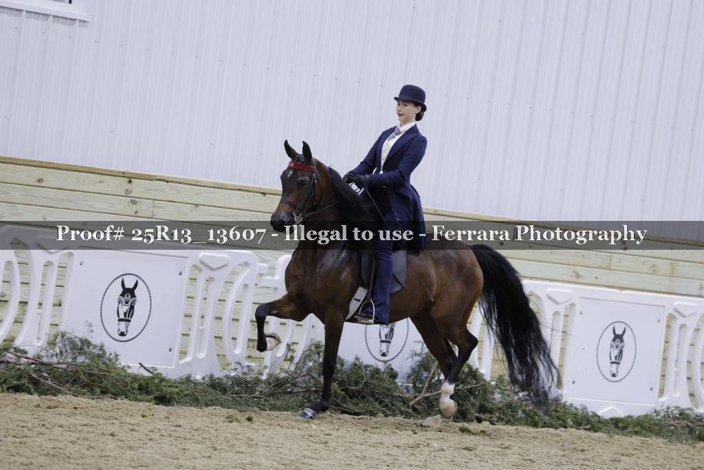 Proof 25R13_13607