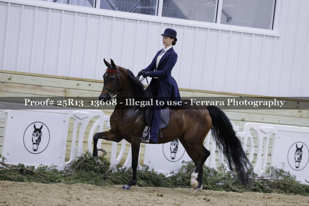 Proof 25R13_13608