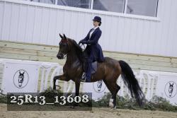 25R13_13608 proof