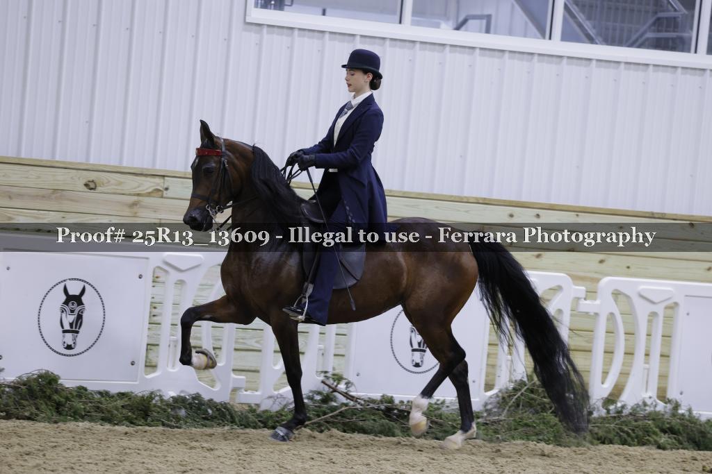 Proof 25R13_13609