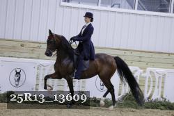 25R13_13609 proof