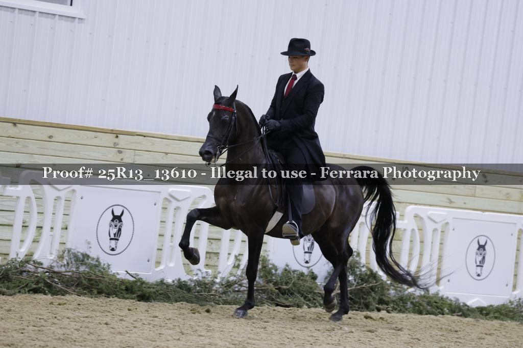 Proof 25R13_13610