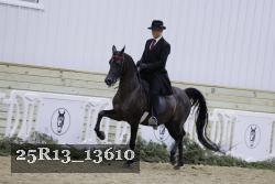 25R13_13610 proof