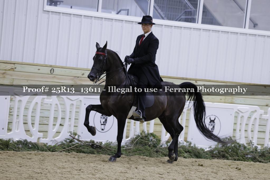 Proof 25R13_13611