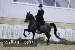 25R13_13611 proof