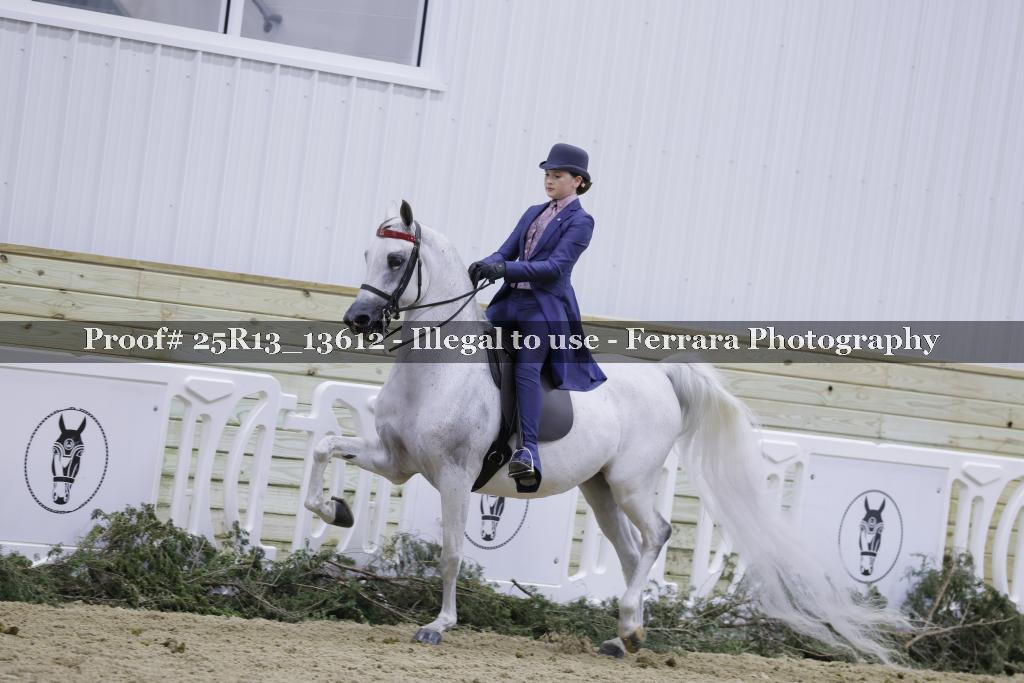 Proof 25R13_13612