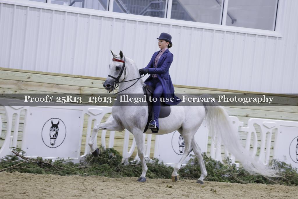 Proof 25R13_13613