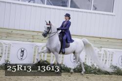 25R13_13613 proof