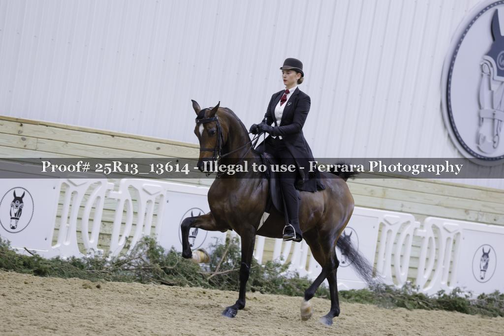 Proof 25R13_13614