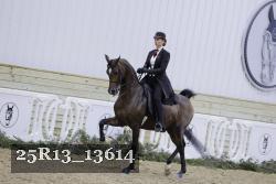 25R13_13614 proof