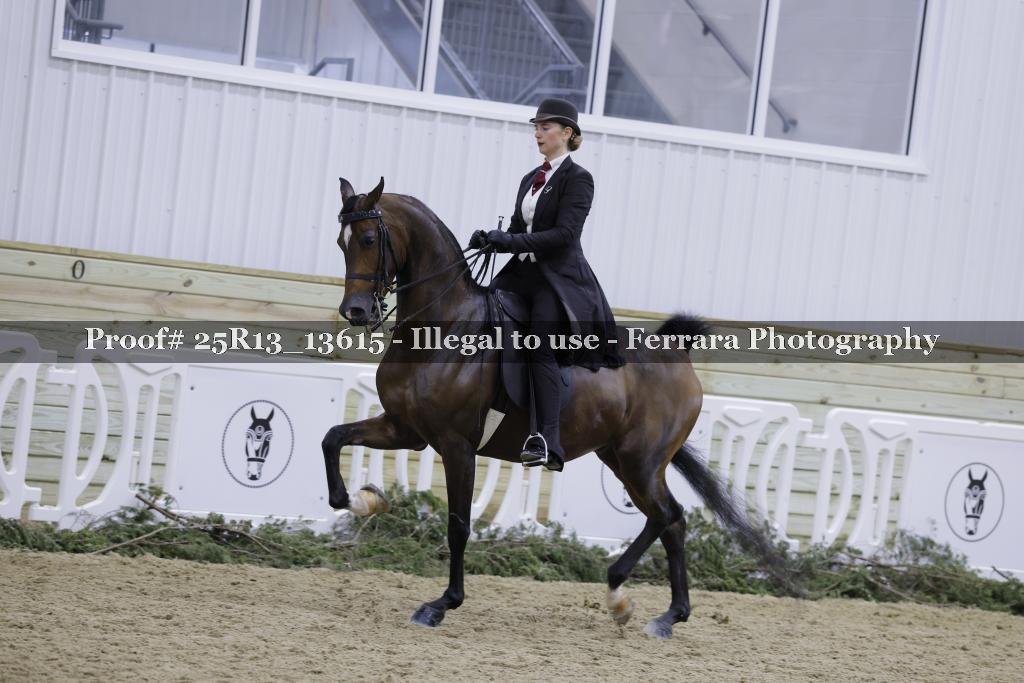 Proof 25R13_13615