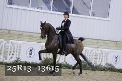 25R13_13615 proof