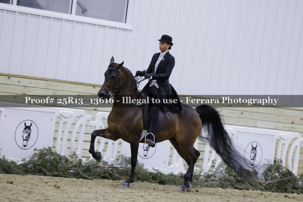 Proof 25R13_13616