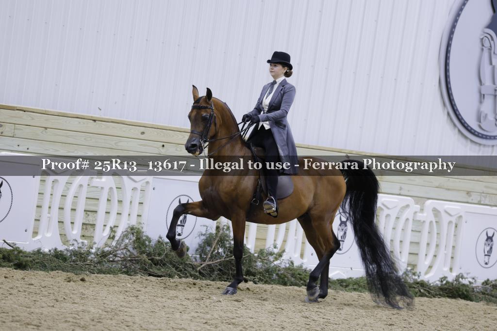 Proof 25R13_13617
