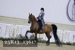 25R13_13617 proof
