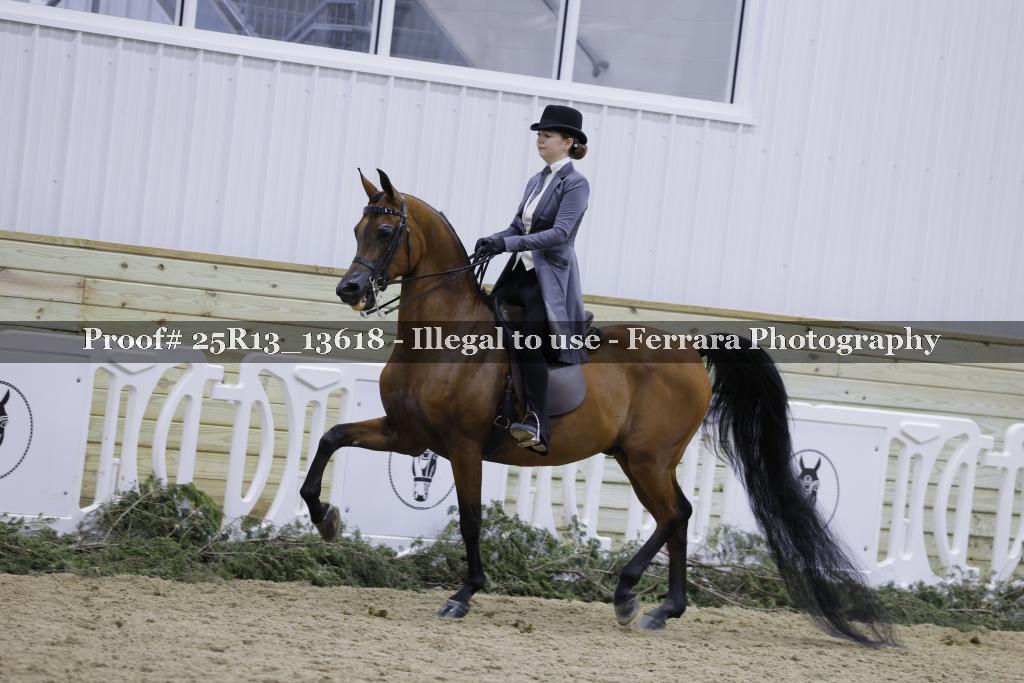 Proof 25R13_13618