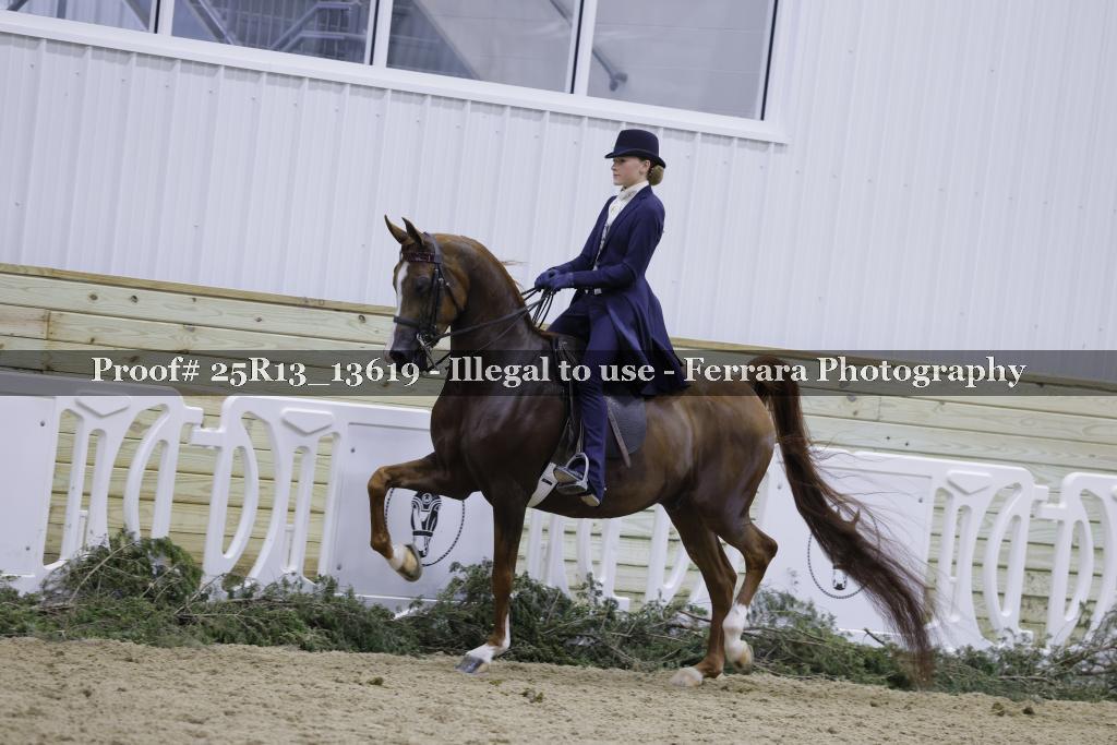 Proof 25R13_13619