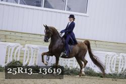 25R13_13619 proof