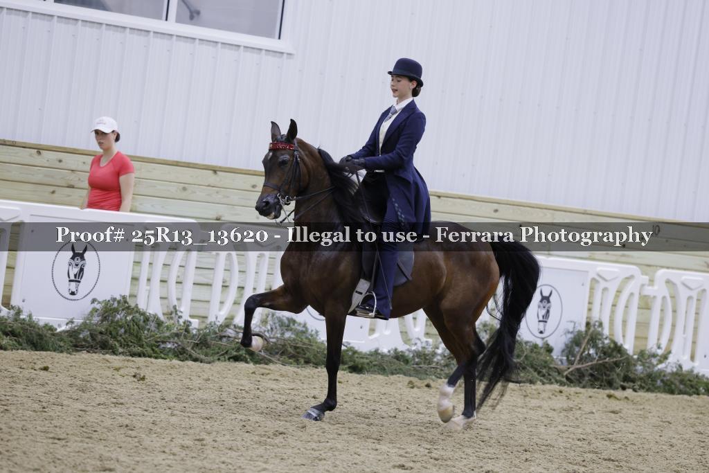 Proof 25R13_13620