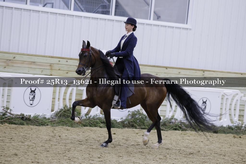 Proof 25R13_13621