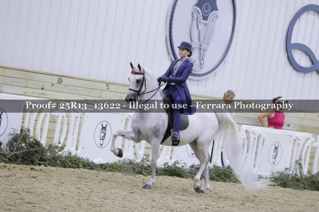 Proof 25R13_13622