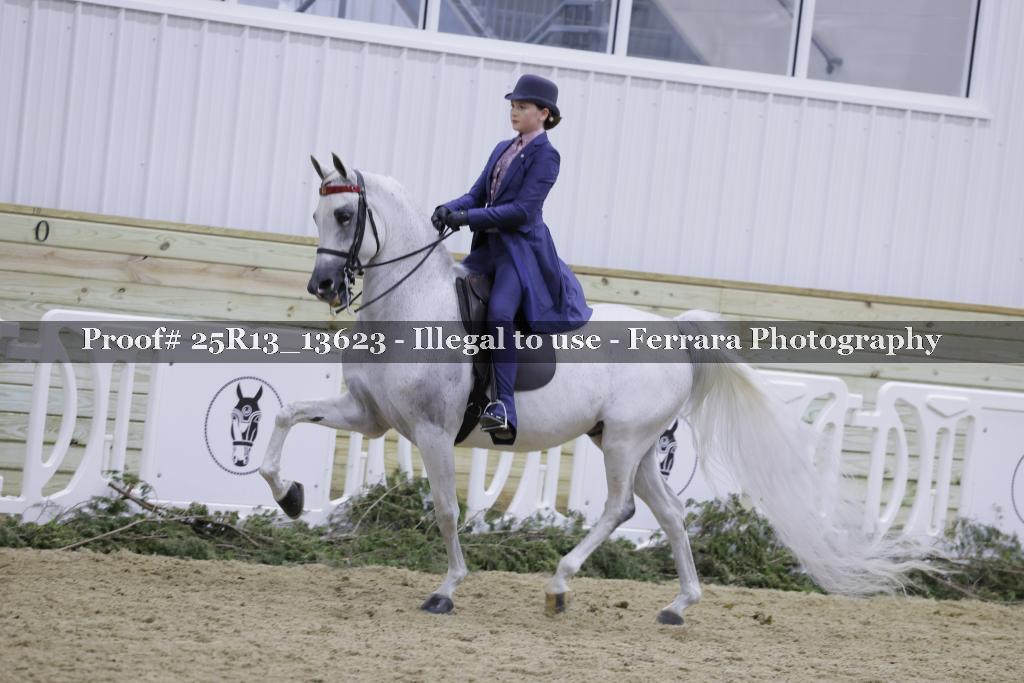 Proof 25R13_13623