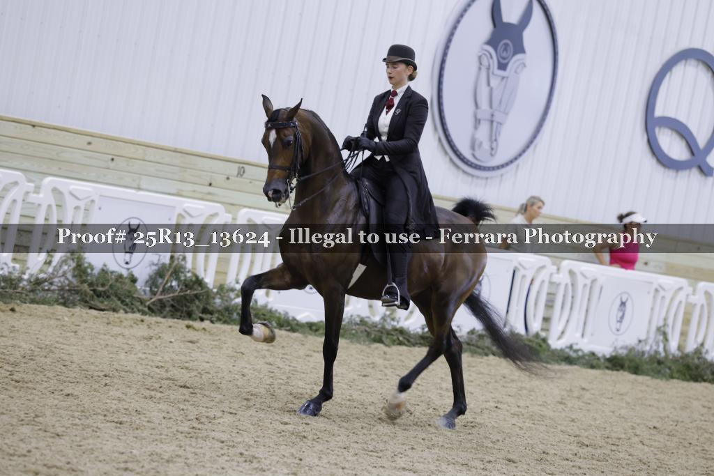 Proof 25R13_13624