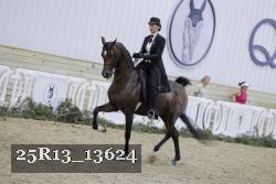 25R13_13624 proof