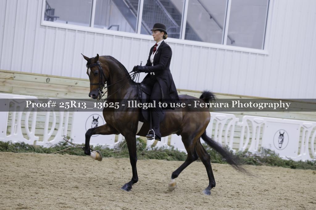 Proof 25R13_13625