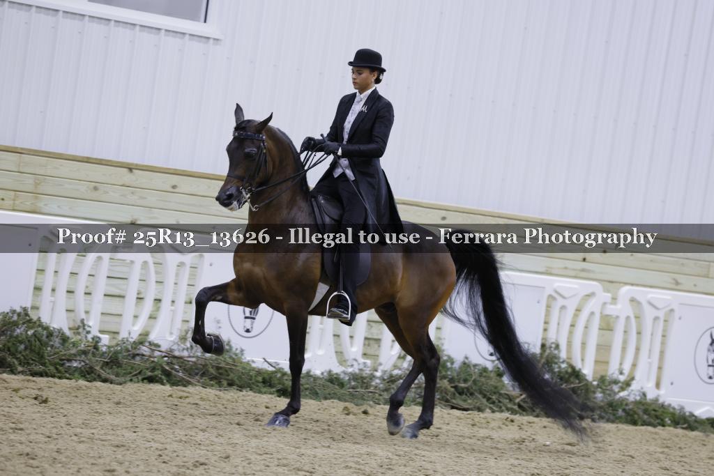 Proof 25R13_13626