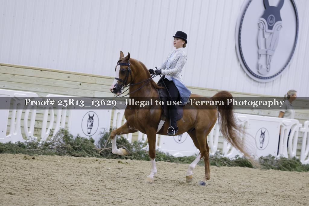 Proof 25R13_13629