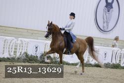 25R13_13629 proof