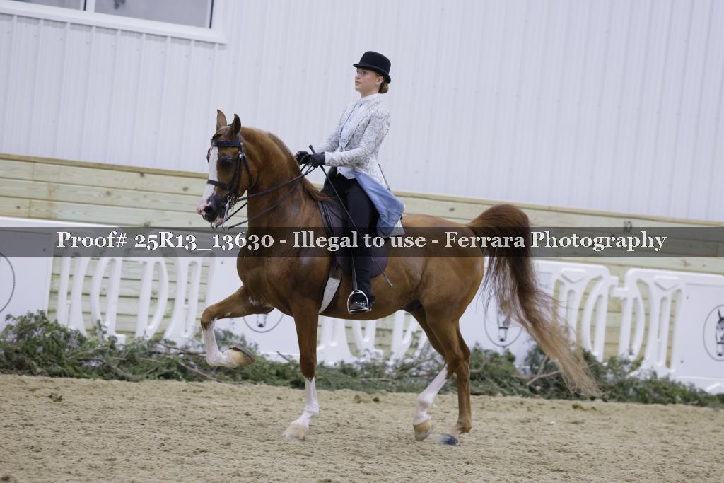 Proof 25R13_13630