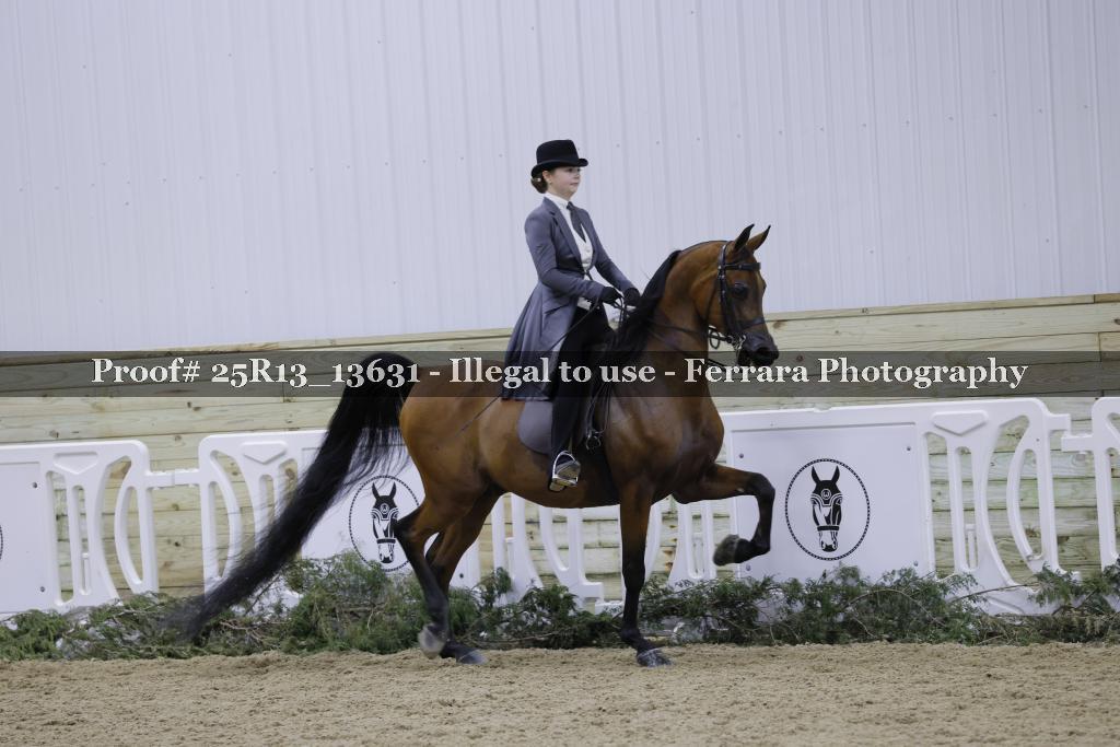 Proof 25R13_13631