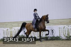 25R13_13631 proof