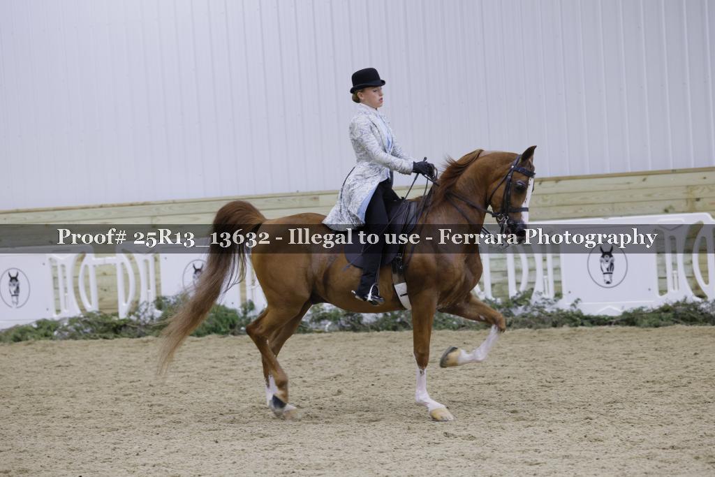 Proof 25R13_13632