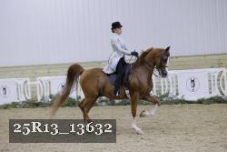 25R13_13632 proof