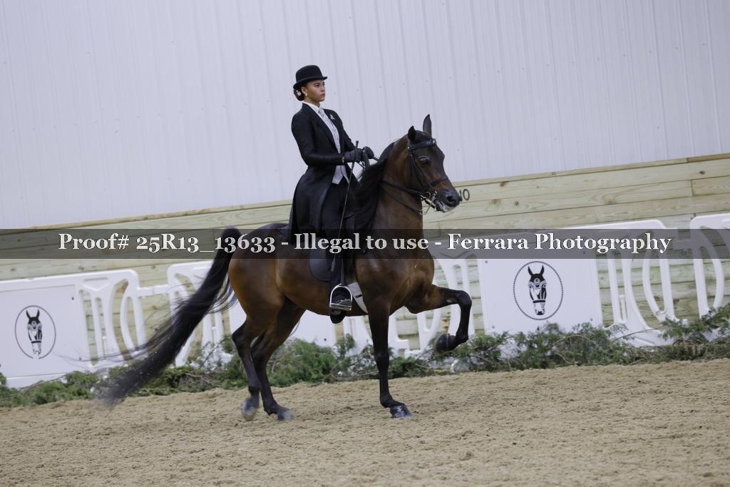 Proof 25R13_13633
