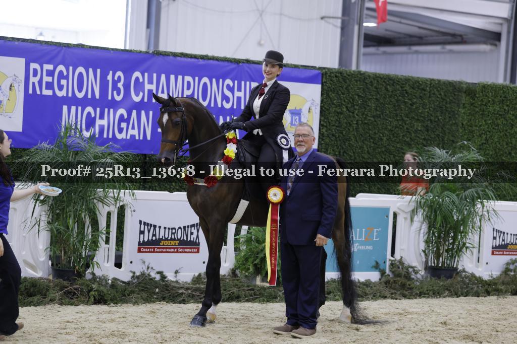 Proof 25R13_13638