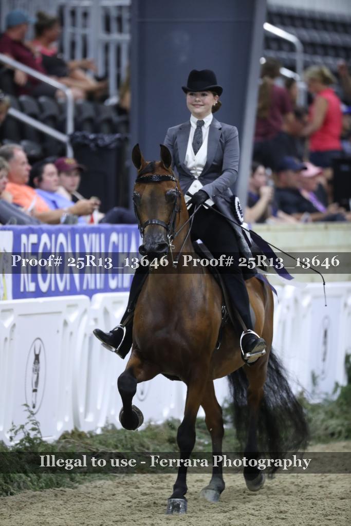 Proof 25R13_13646