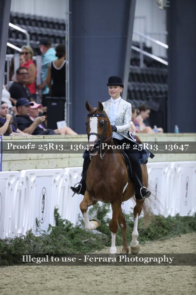 Proof 25R13_13647