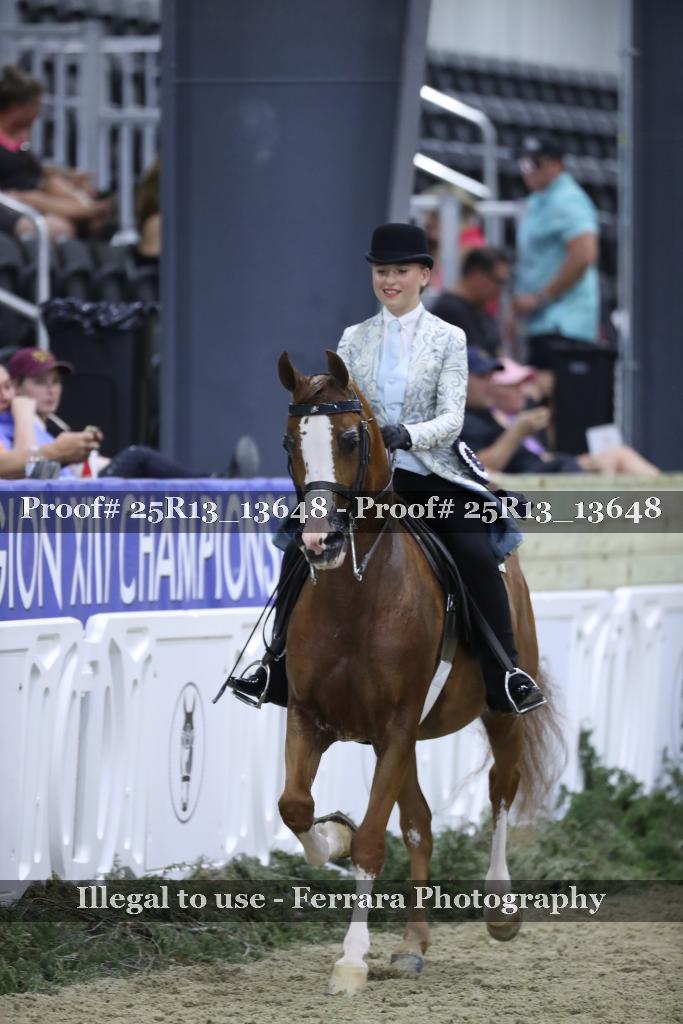 Proof 25R13_13648