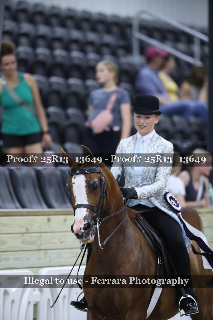 Proof 25R13_13649