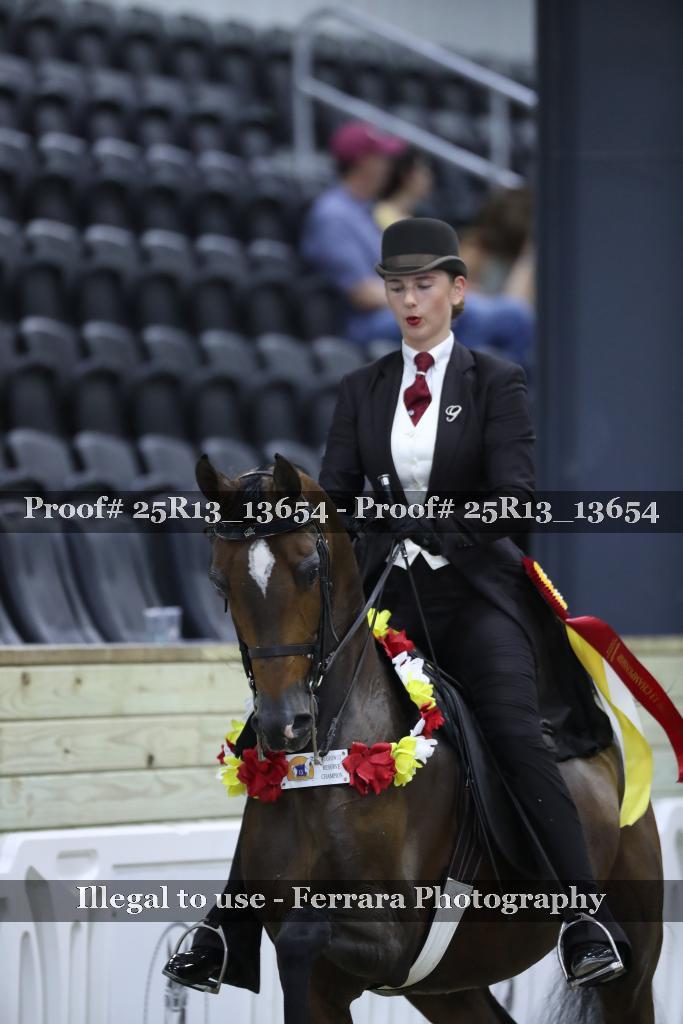 Proof 25R13_13654